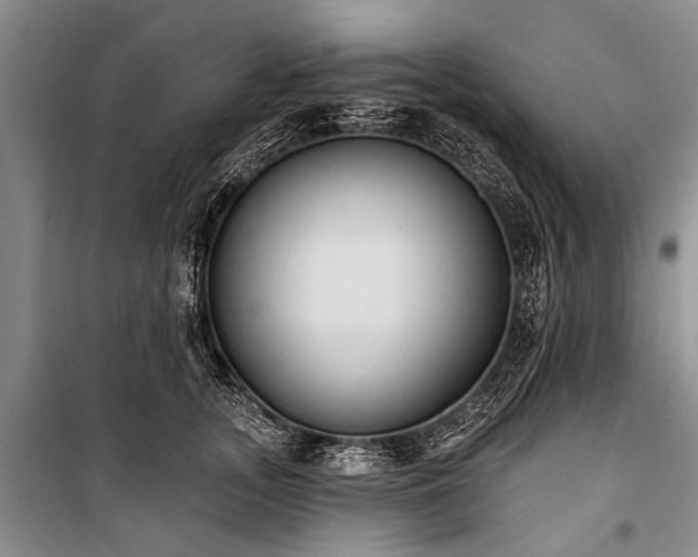 X0000101150755200806270943