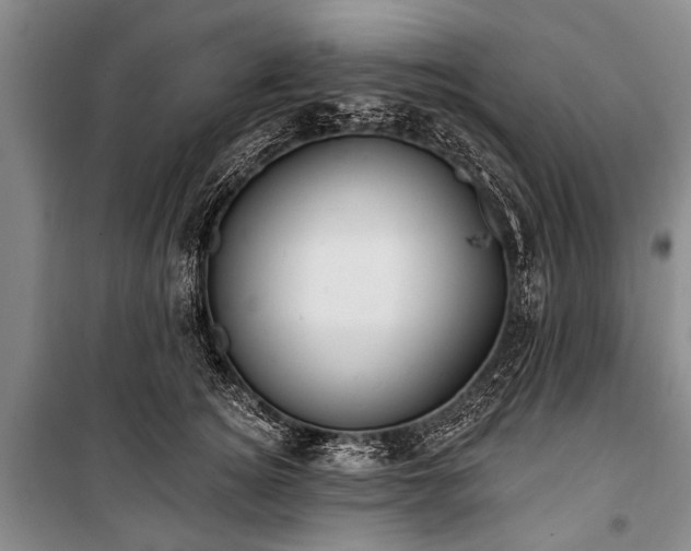 X0000101150756200806270943