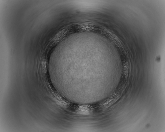 X0000101150757200806270943
