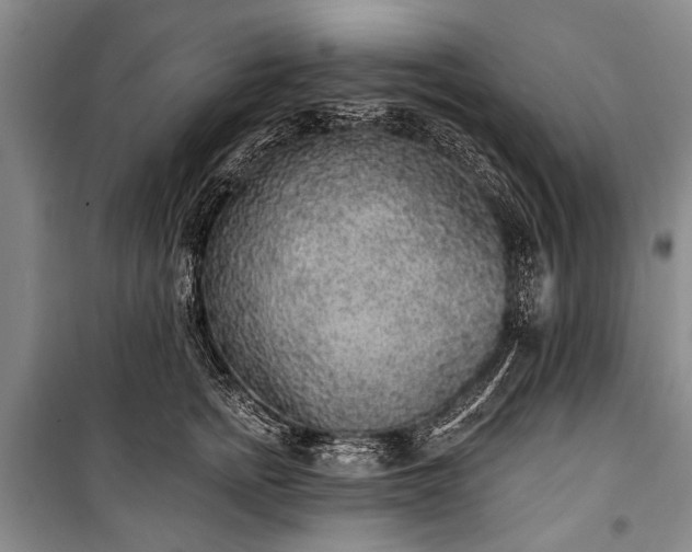 X0000101150758200806270943