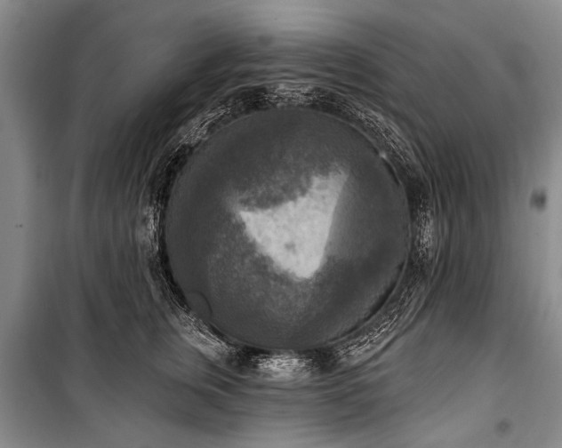 X0000101150759200806270943