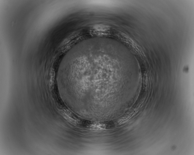 X0000101150760200806270943