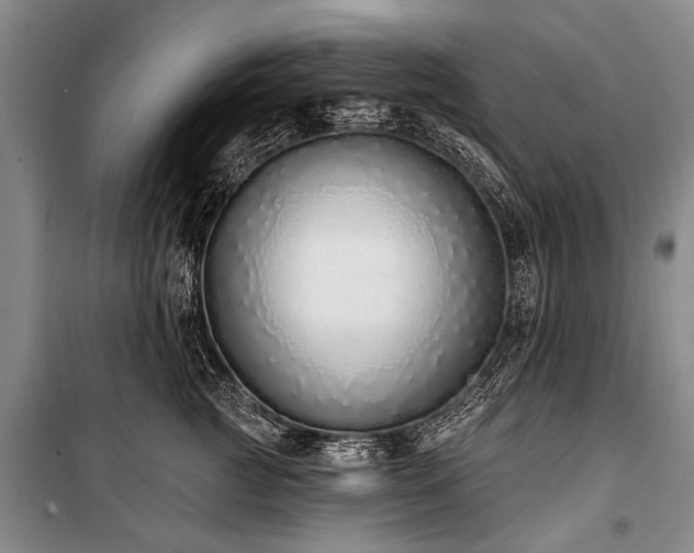 X0000101150761200806270943