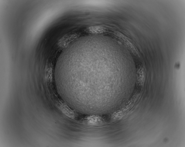 X0000101150762200806270943