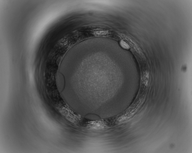X0000101150763200806270943