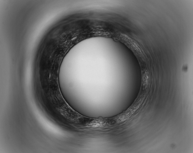 X0000101150764200806270943