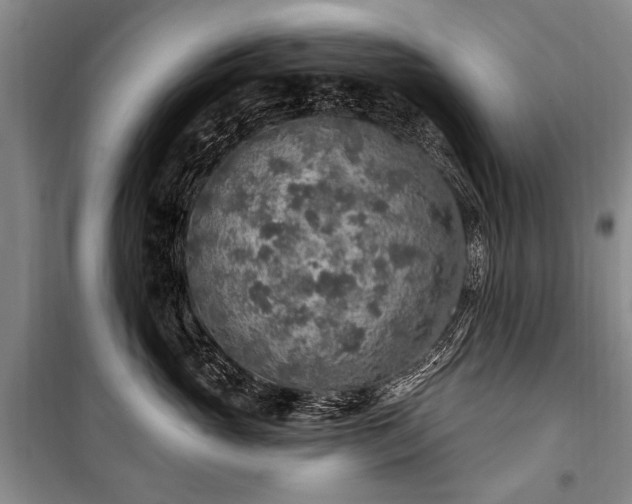 X0000101150765200806270943