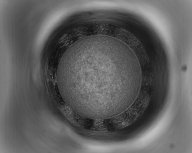 X0000101150766200806270943