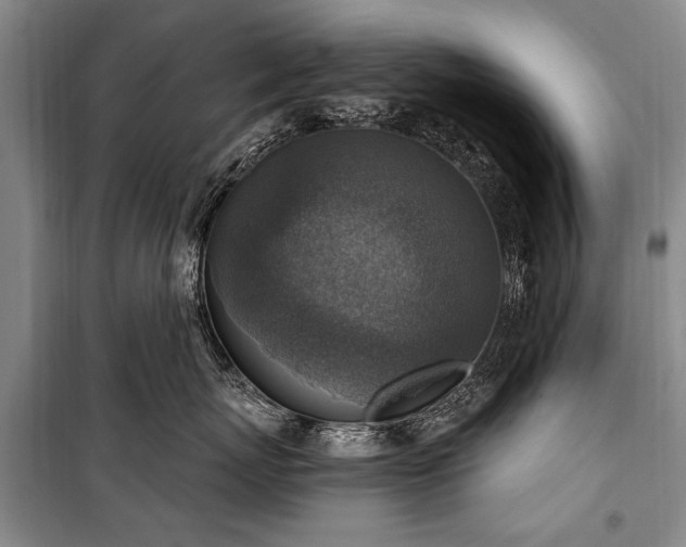 X0000101150767200806270943
