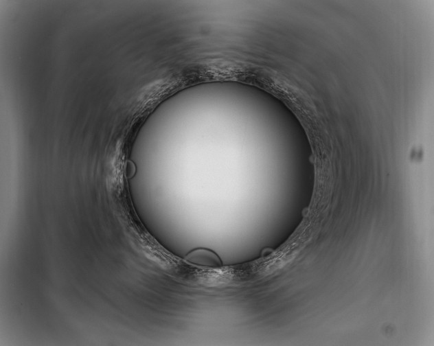 X0000101150768200806270943
