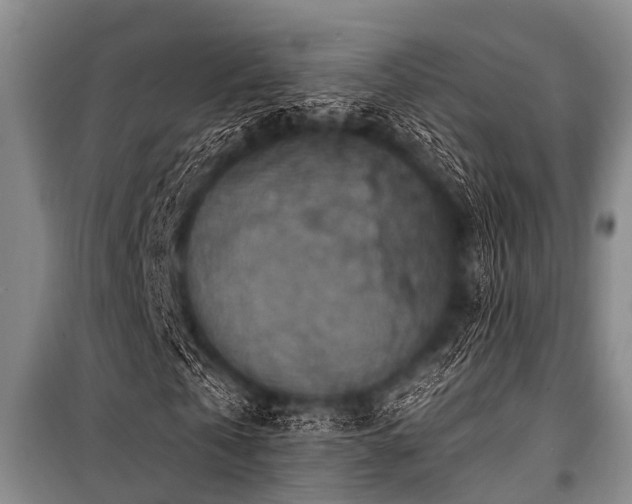 X0000101150769200806270943