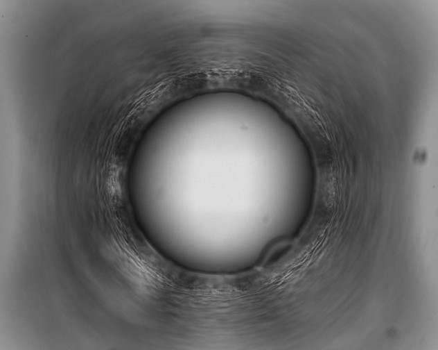 X0000101150770200806270943