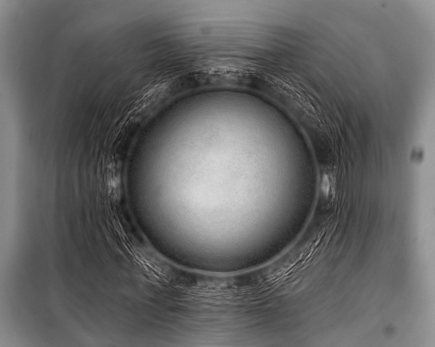 X0000101150771200806270943