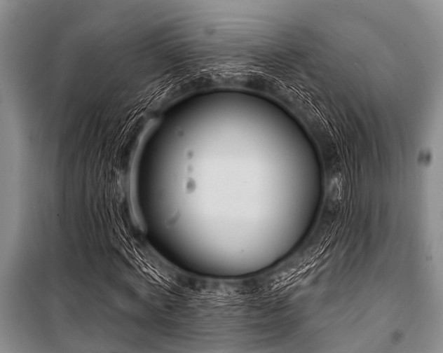 X0000101150772200806270942