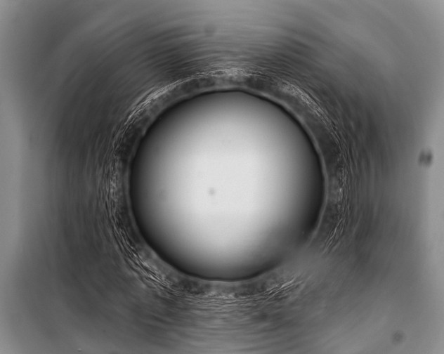 X0000101150773200806270942