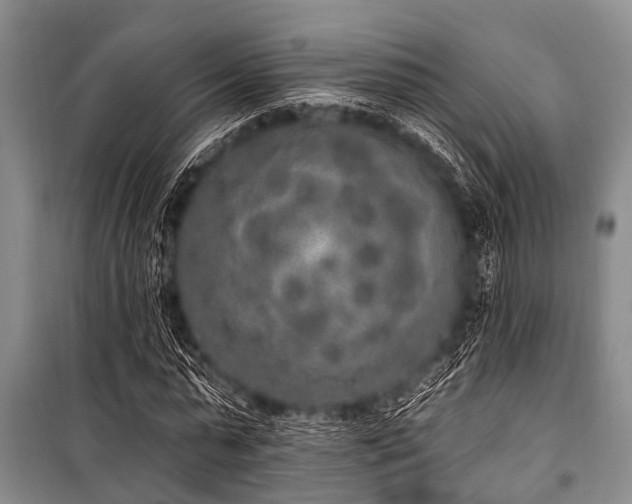 X0000101150775200806270942