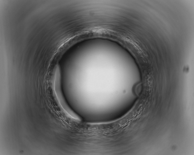 X0000101150776200806270942