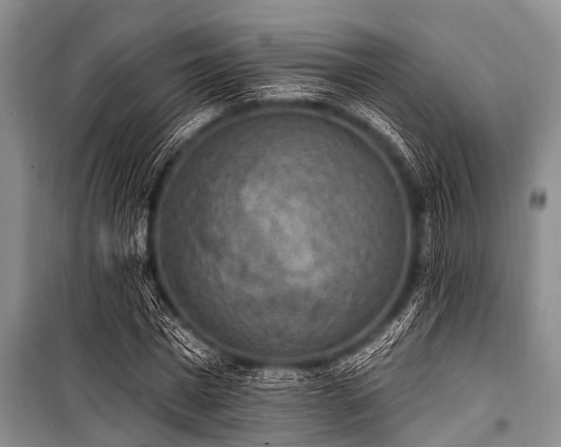 X0000101150777200806270942