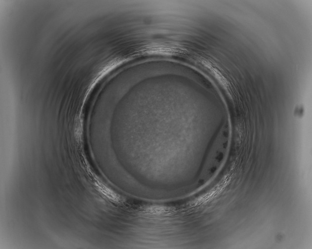 X0000101150779200806270942