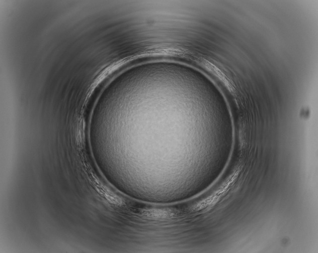 X0000101150781200806270942