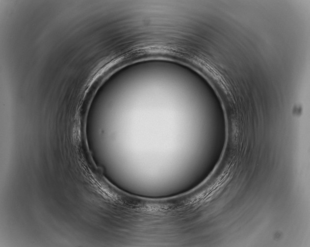 X0000101150782200806270942