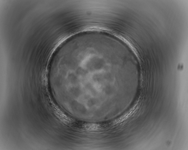 X0000101150783200806270942