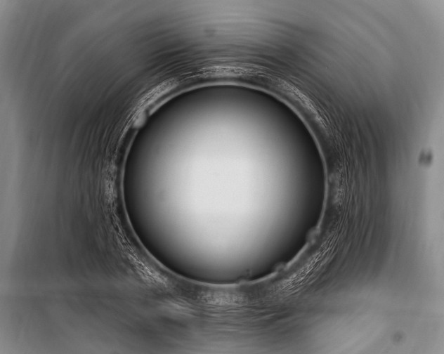 X0000101150786200806270942