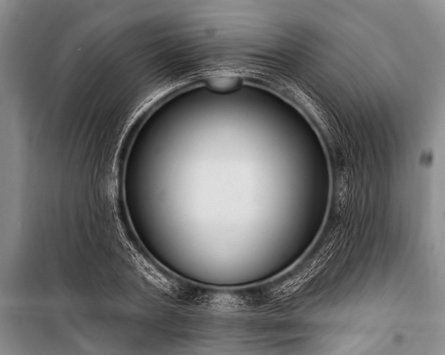 X0000101150787200806270942