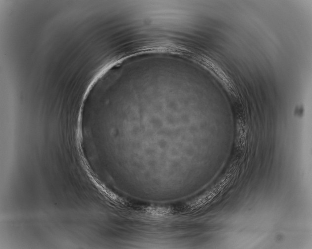 X0000101150788200806270942