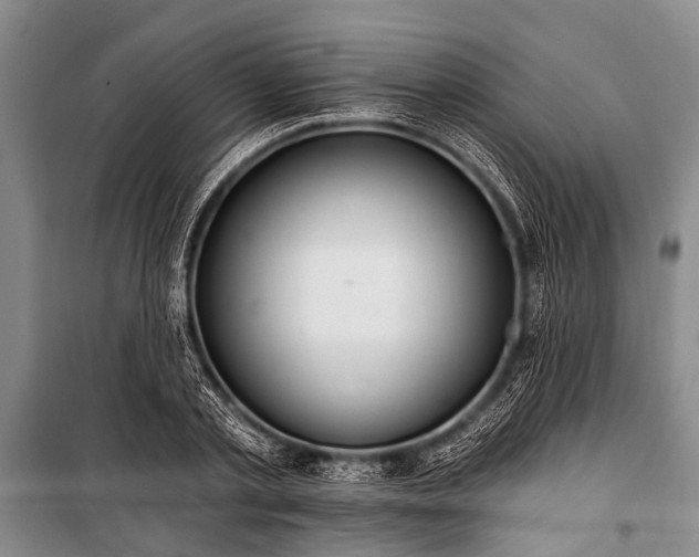 X0000101150789200806270942