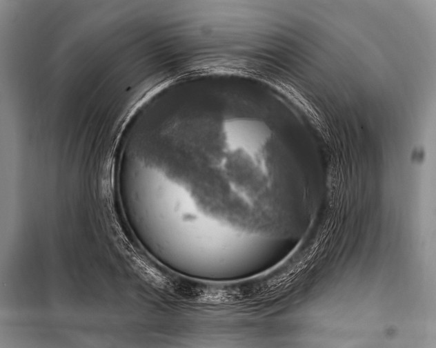 X0000101150790200806270942