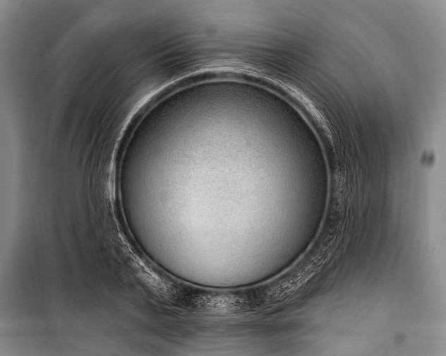 X0000101150791200806270942