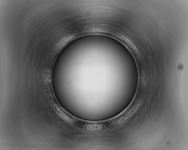 X0000101150793200806270942