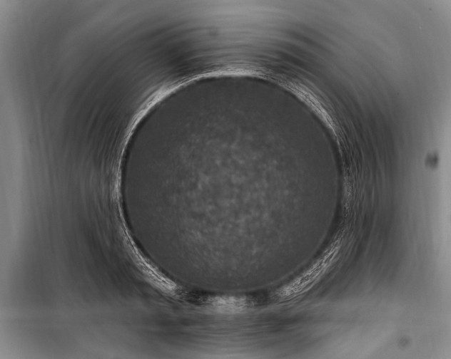 X0000101150797200806270942