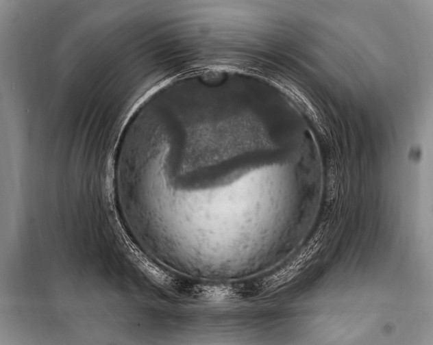 X0000101150798200806270942