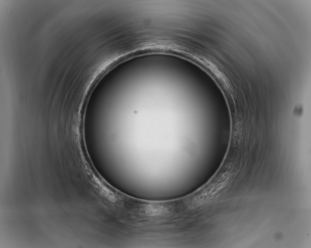 X0000101150799200806270942