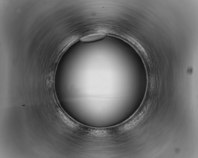 X0000101150801200806270942