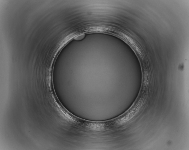 X0000101150802200806270942