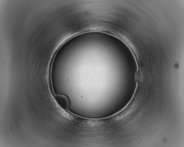 X0000101150803200806270942