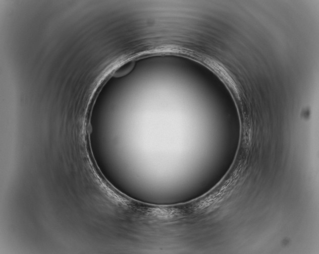 X0000101150805200806270942
