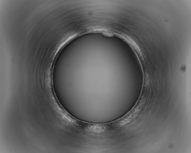 X0000101150806200806270942