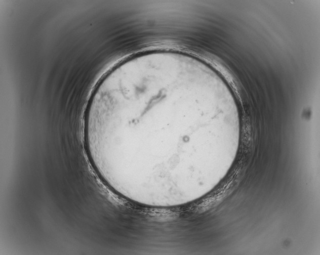 X0000101150807200806270942
