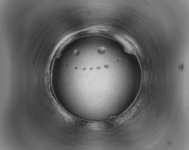 X0000101150808200806270942
