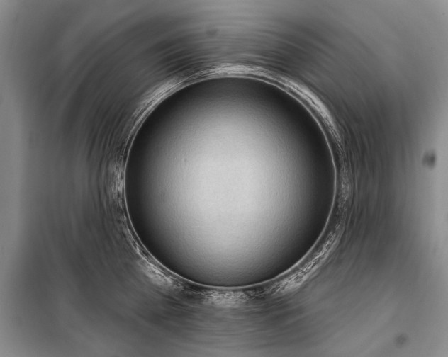 X0000101150809200806270942