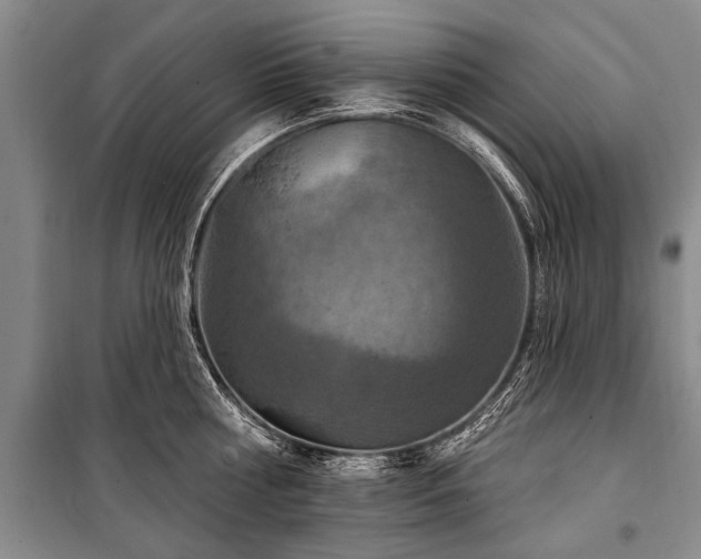 X0000101150810200806270942
