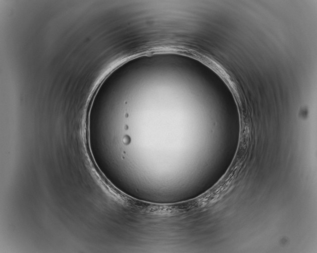 X0000101150811200806270942