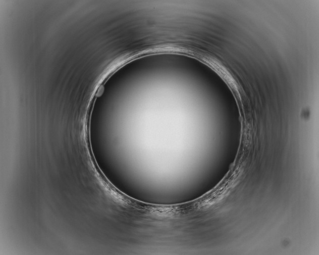 X0000101150813200806270942