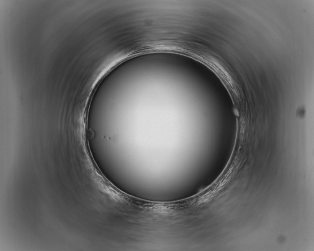 X0000101150814200806270942