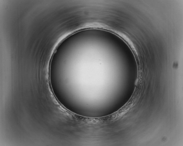 X0000101150815200806270942