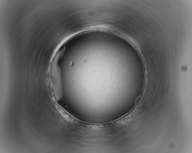 X0000101150816200806270942